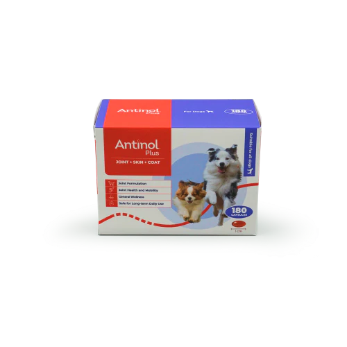 Antinol Plus for Dogs - Image 2