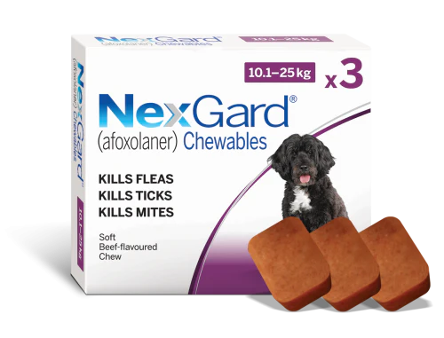 NexGard Chewables for Medium Dogs 10-25kg - Image 2