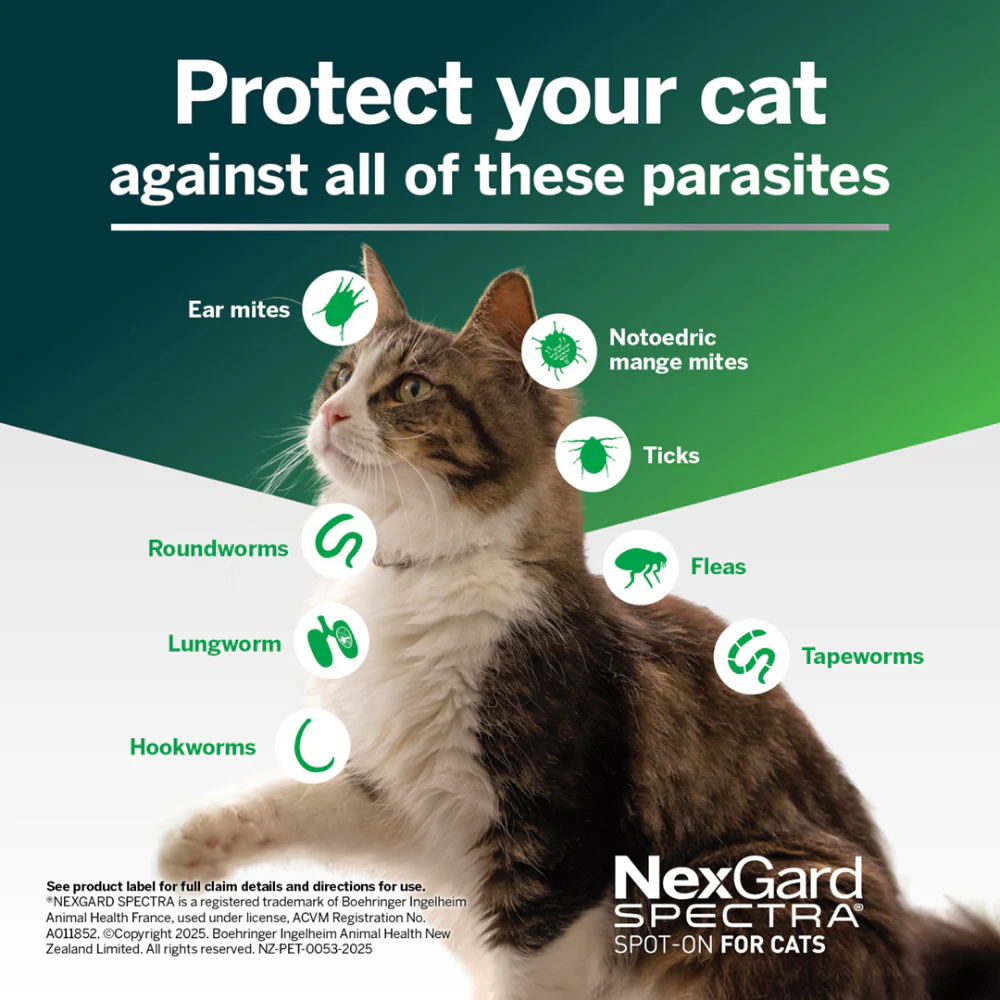 NexGard SPECTRA for Large Cats 2.5-7.4kg - Image 6