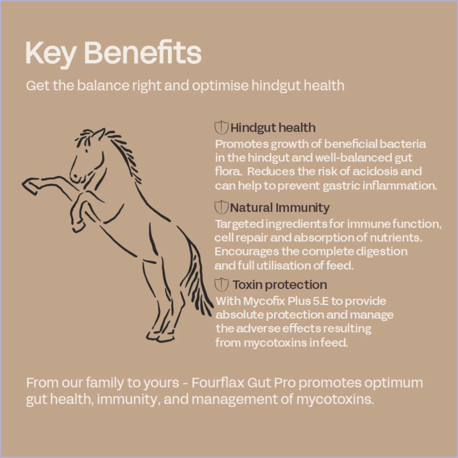 ProVida (Fourflax) Equine Gut Pro - Image 3