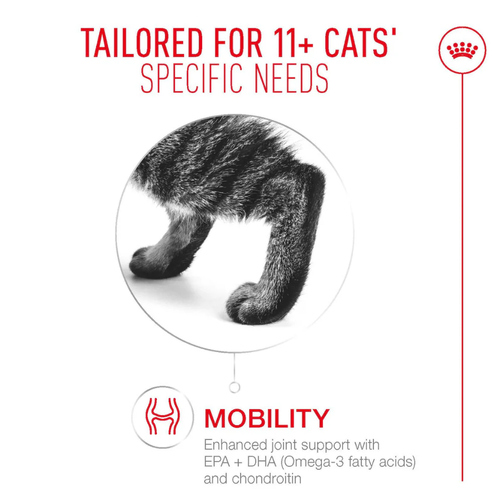 Royal Canin Ageing 11+ Adult Dry Cat Food 2kg - Image 3