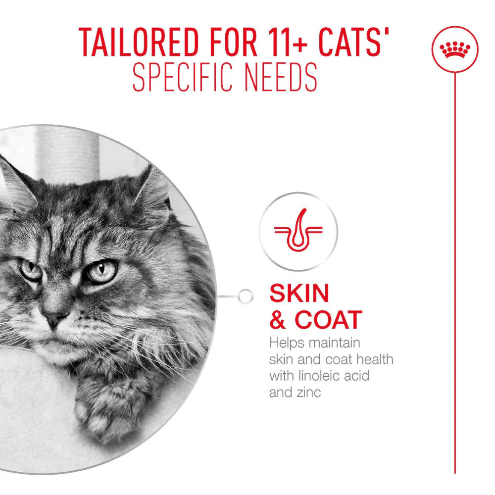 Royal Canin Ageing 11+ Jelly Wet Cat Food - 12 x 85g Pouches - Image 5