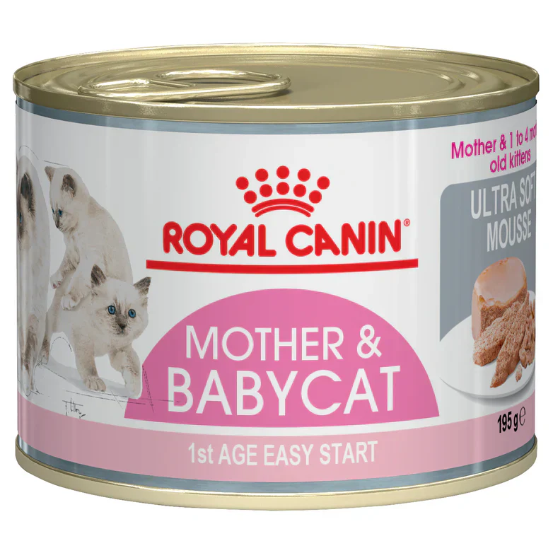 Royal Canin Mother and Babycat Mousse Wet Food 195g x 12 cans